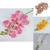 Phalaenopsis Künstliche Orchidee 3d Realistisch Mehrstielig Für Heimdeko Hochzeit