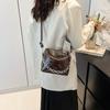 Stylish Minimalist 2024 Summer New Small Fashionable Shoulder Bag For Women In Black White Brown Silver