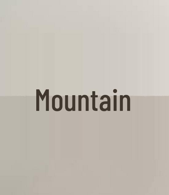 Niche High-Quality Hollow Heart Hair Claw for Women - Large 2025 Shark Bun Clip