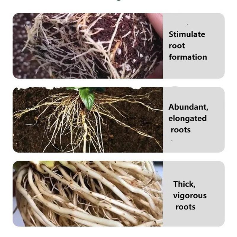 Wzmacnianie Sadzonek Roślin Nawóz Stymulujący Wzrost Korzeni Proszek do Stymulacji Korzeni Warzyw Przesadzanie Roślin i Kwiatów Ukorzenianie Sadzonek