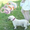 3m Extendable Retractable Dog Leash Adjustable Pet Walking Lead LED Luminous Leash  Outdoor Walking