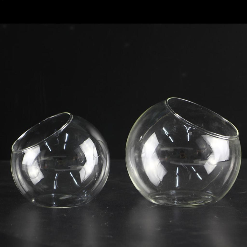 Glass Plant Terrarium Glass Round Terrarium Fish Bowl Plant Flowerpot Vase Air Plant Container Home Decoration Display