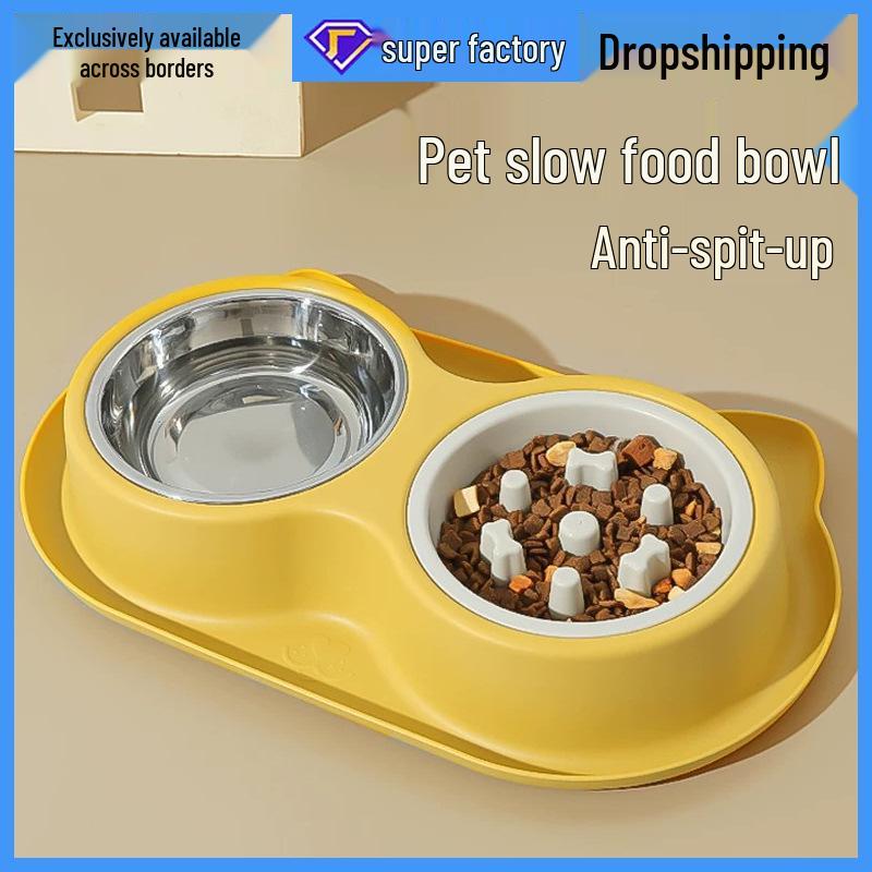 Anti-Leak Anti-Tip Double Pet Bowl: Slow Feeder Cat/Dog Dish & Water Dispenser