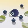 Wallet Fruit Shaped Keychain Door Lock No Card Earphones Anti Loss and Anti Drop Fashion Keychain Pendant Accessories Gifts