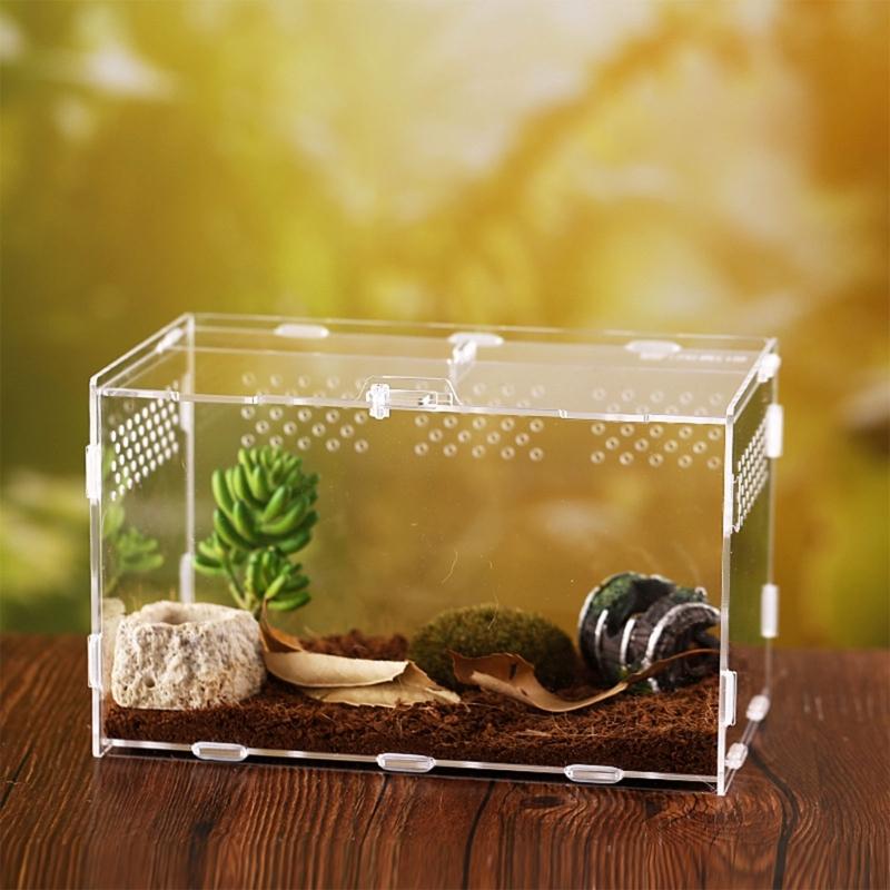 Reptiles Feeding Box Breeding Cases Portable Acrylic Terrarium Clear Insect Habitat for Mini Lizards Pet Centipedes