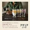 Aderia Retro Glasbecher [Basisglas / 335ml / 5 verschiedene Designs] Wird in einer individuellen Handwerksbox geliefert, Hergestellt in Japan