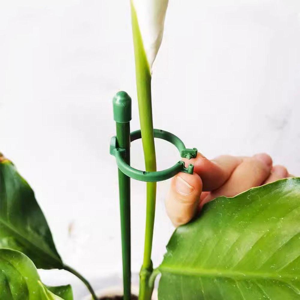 10Pcs Adjustable Plant Climbing Rack Creative Plant Stand Plant Support Frame  Garden Decor