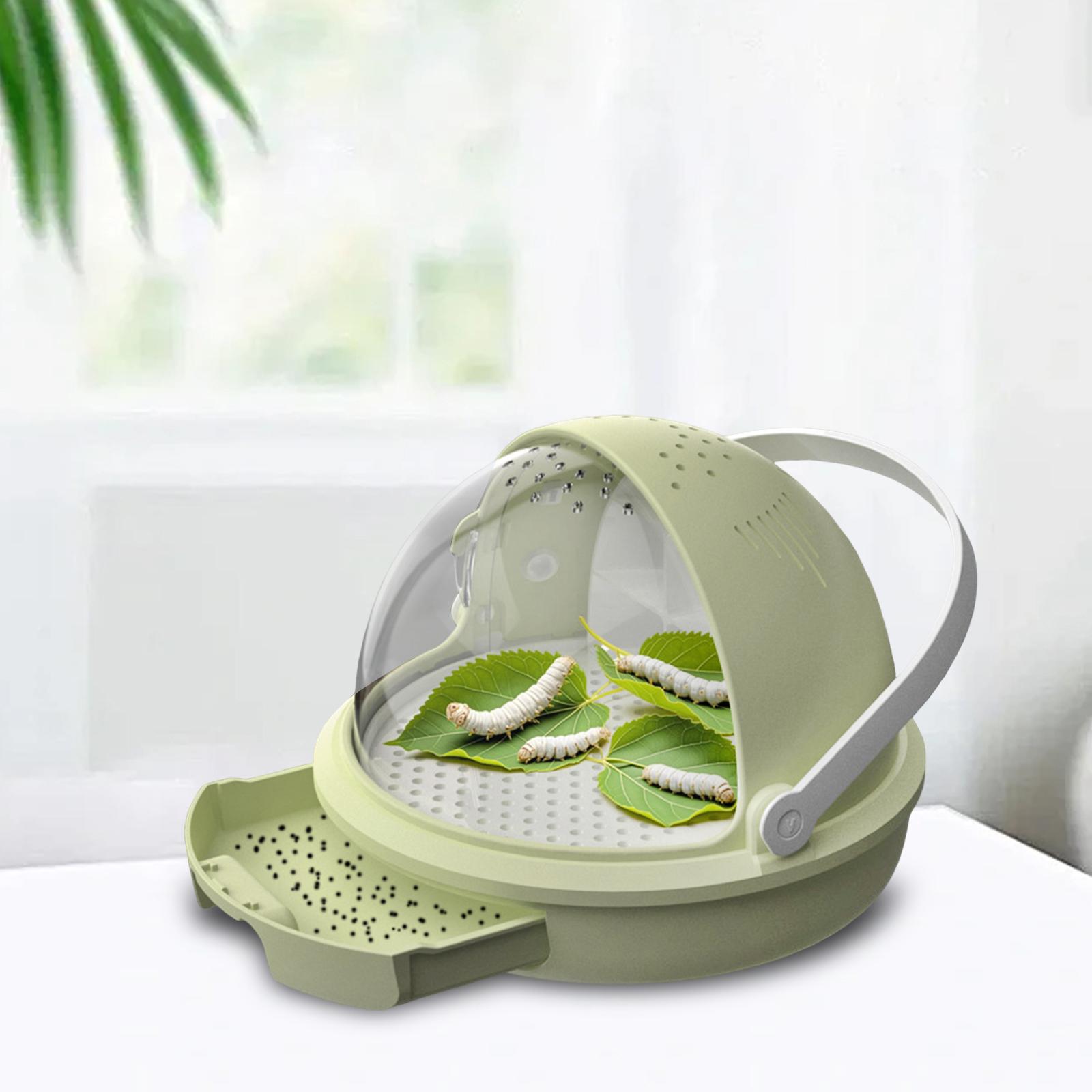 Reptile House Silkworm Container Cage Observation Breeding Box for Silkworm Grow and Easy Transport