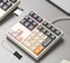 Levieny Mechanical Numeric 34 Programmable Macro Keyboard Design for Accountants and with Arrow Keys Adapter and Shaft Removal Tool Red Switches