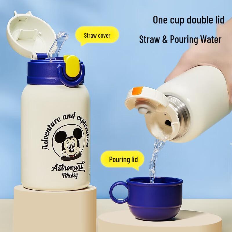 Disney 316 SS Kids Insulated Straw Bottle