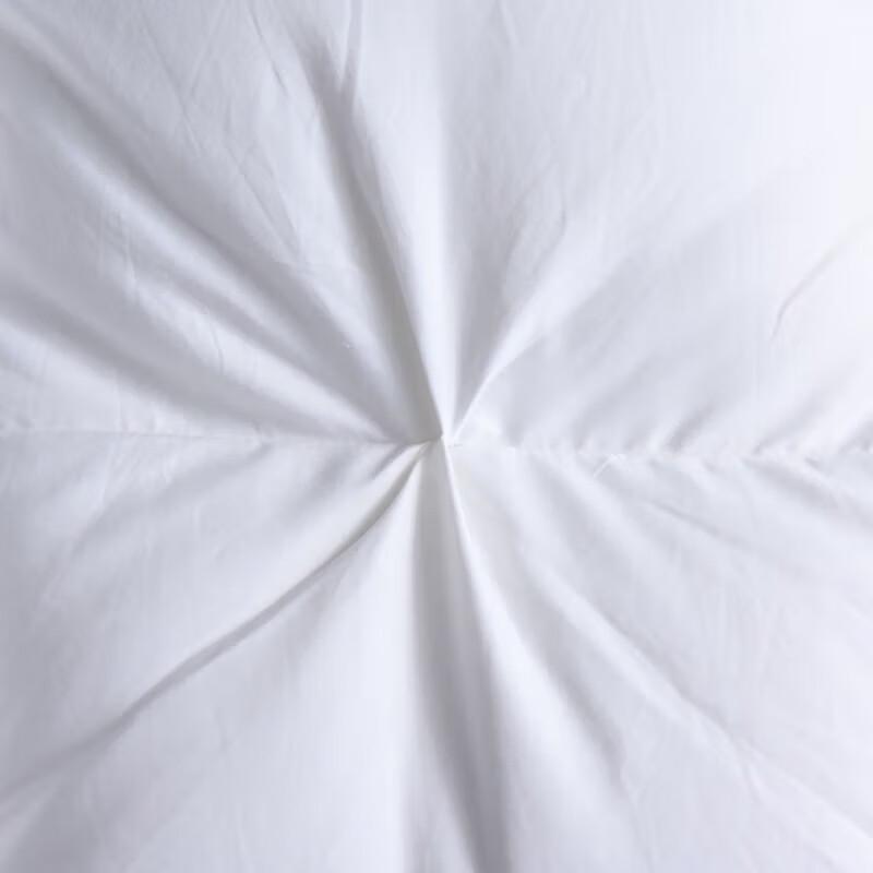 PLOVER Premium White Duck Down Quilt