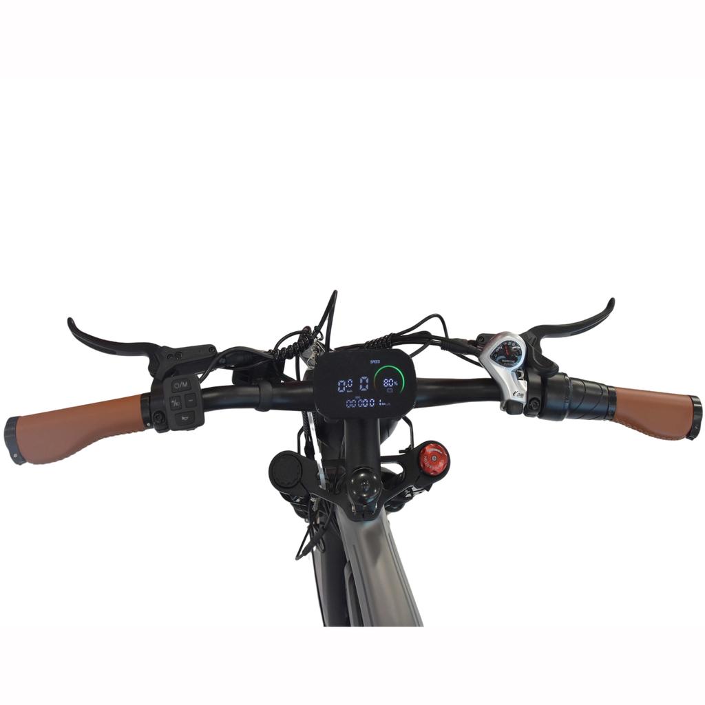 DYU M20 Wysokowydajny Miejski Rower Elektryczny do Dojazdów 55KM/H Prędkość Maksymalna Bateria 48V18.2Ah Silnik 1000W 20-calowe Grube Opony E-Bike