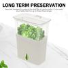 Large Capacity Vegetable Keeper Plastic Herb Lettuce Keeper  Prolongs Produce Life