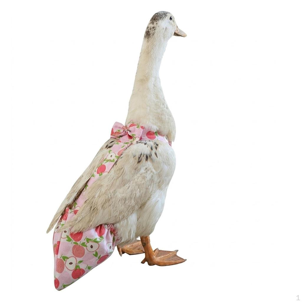for Chickens, Chicken , Accessories, Clothing, Pet Supplies, Adjustable Ducklings