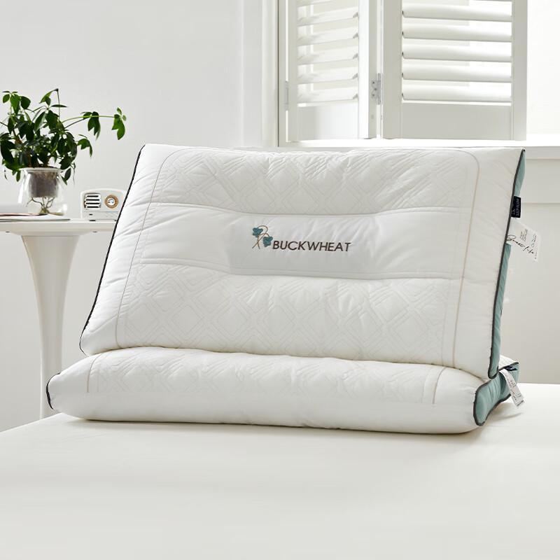 Woody Woodpecker Buckwheat Sleep Aid Pillow
