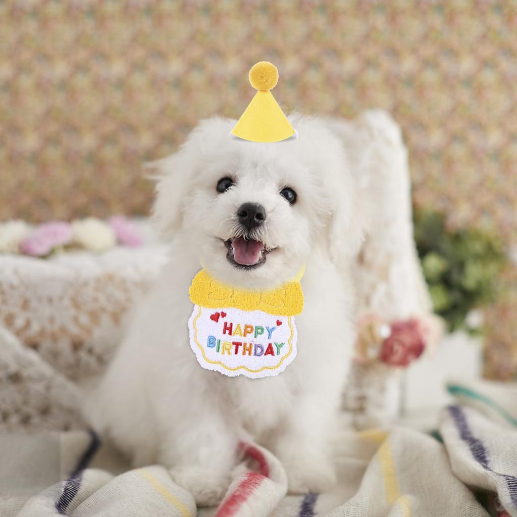 Pet Costume Dog Supplies Birthday Cat Hat Wear Resistant Lightweight Portable Reusable B Fits Occasions Easy Storage