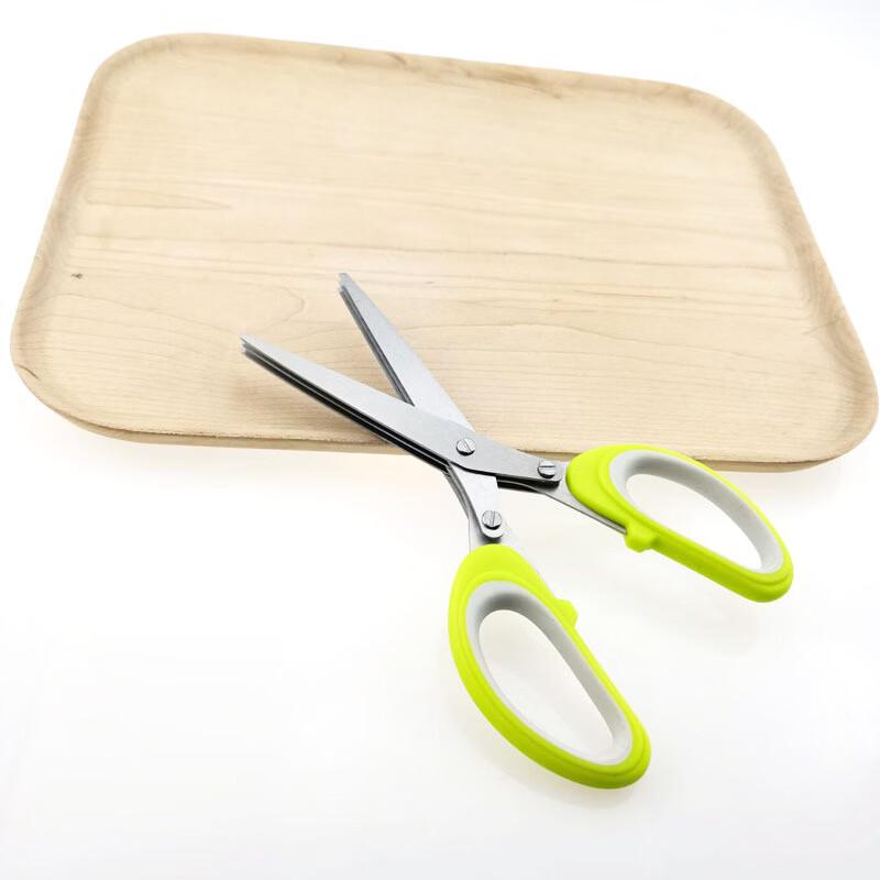Stainless Steel Multi-Blade Herb Scissors