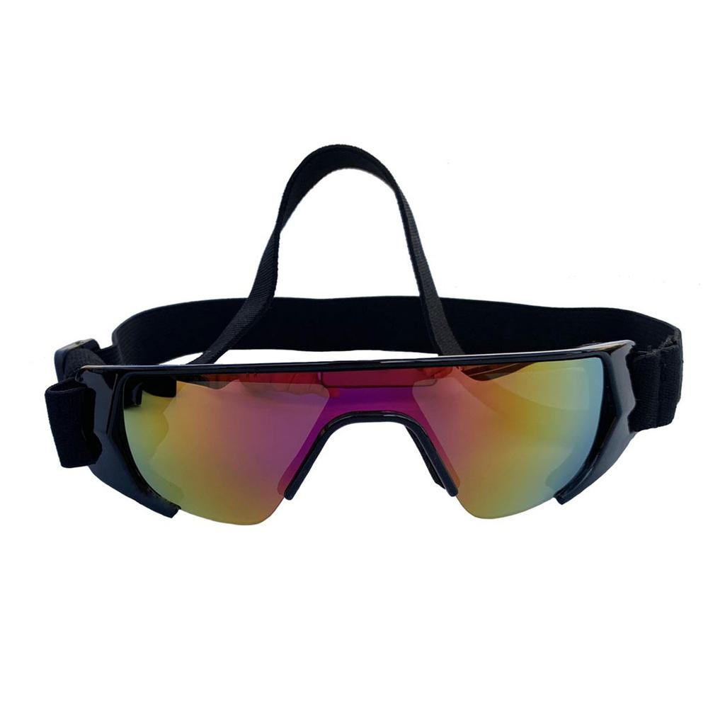 Pet Sunglasses Protections for Small Dogs for Northern Area with Adjustable Strap for Outdoor Sports