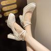New Chinese cross belt elegant high heels women's 2025 spring new temperament waterproof table thick heel Mary Jane single shoes