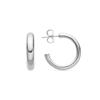 Rhodium-plated Luxenter Earrings - Difie