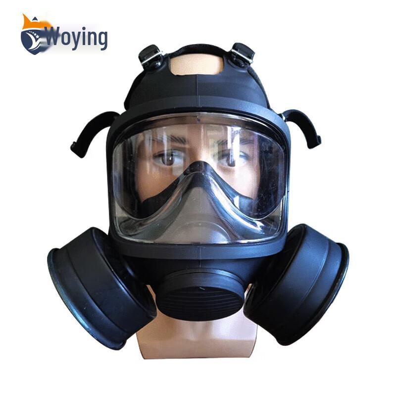 

Woying TF11D Full Face Respirator Mask