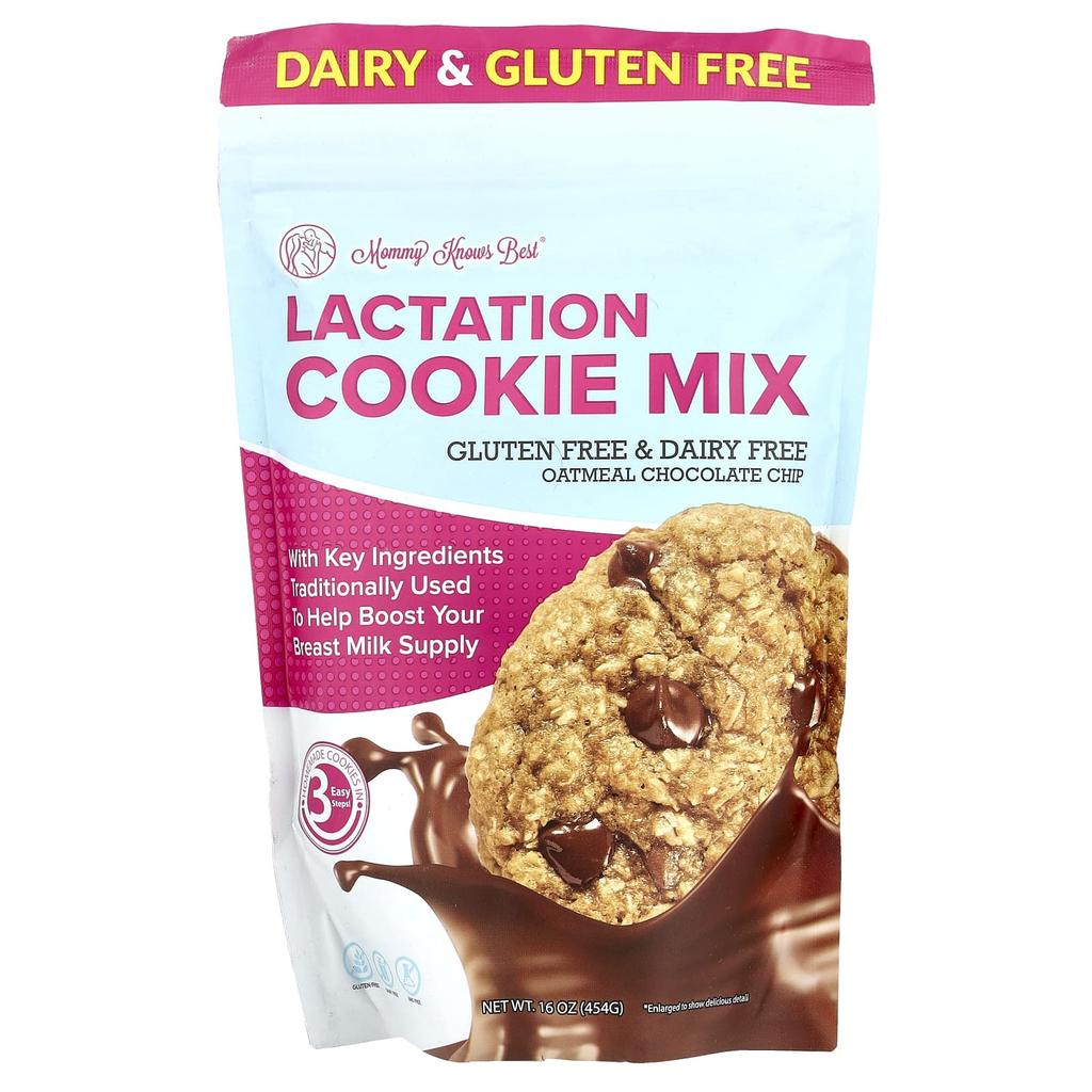 Nursing Cookie Mix, Oatmeal Chocolate Chip, 454G(16Oz)