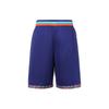 Nike Casual Shorts Men's Purple Moderate BV9447-590