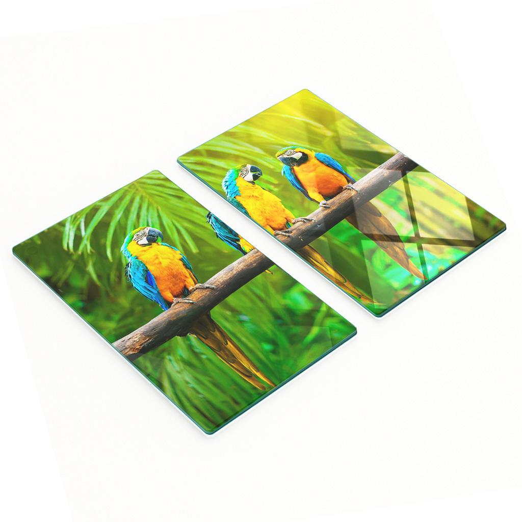 Tempered Multifunctional Decorative Glass Panels Parrot Branch 2X30X52 Cm
