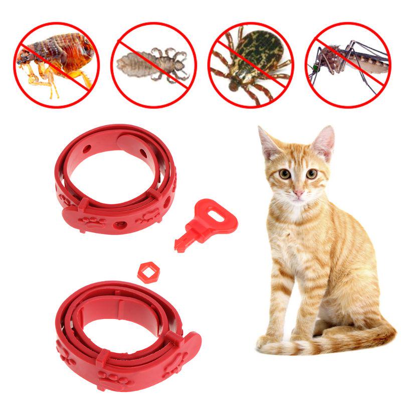 Grooming Tool pisica pisoi remediu curea Pet guler Anti purici acarianul Acari capusa