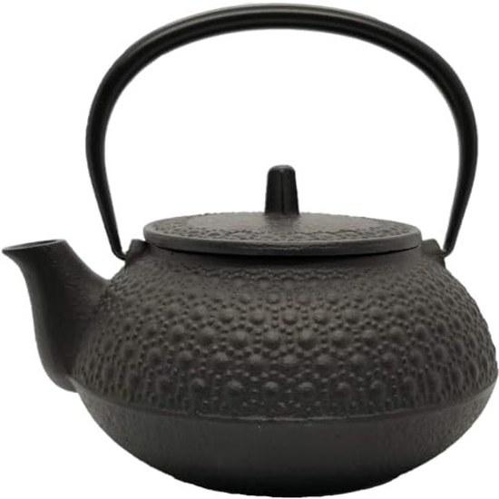 Iwachu Cast Iron Teapot Compatible Kyusu Type 5 Kikkō Black Burned 0.65L No Enamel Direct Fire Nambu Ironware 12804