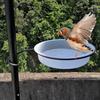 Hochwertiger Plastik-Vogelfutterspender mit stabilem Metallständer und vielseitiger Kolibri-Wasserschale für den Außenbereich