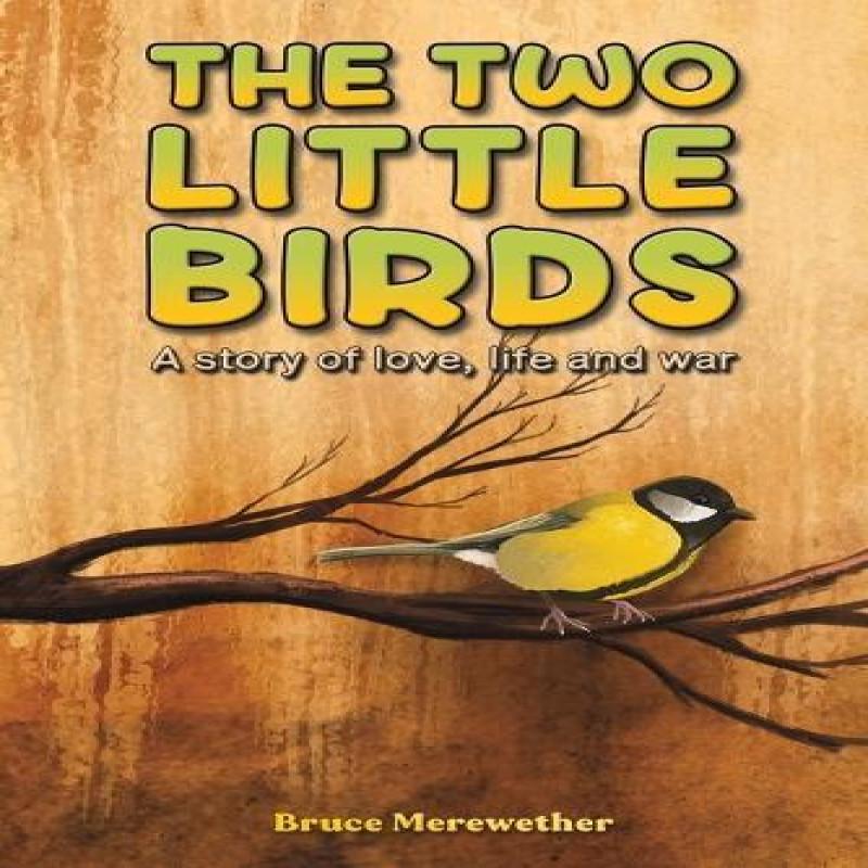 The Two Little Birds by Bruce Merewether Paperback Book 9781528912709
