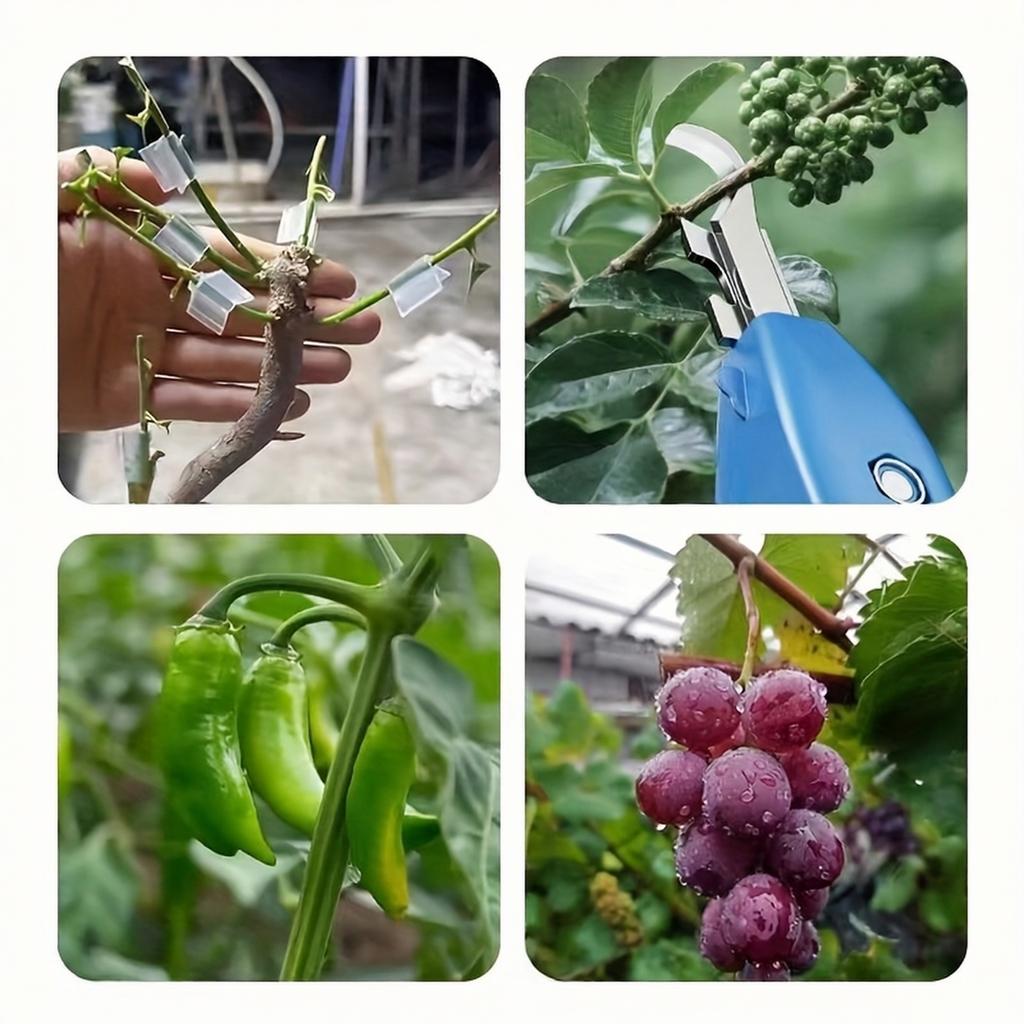 Herramienta de Poda para Cosecha de Flores y Frutas con Mango Ergonómico y Hoja de Corte de Precisión Adecuada para Recolectar Uva, Azufaifa y Pimienta