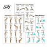 Yoga And Pilates Poster 3Pcs Bar Full Body Workout Set Leg Hip Arm Back Posture Exercise Routine Guide Chart for Home Gym Laminated Fitness Beginners