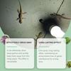 Repellents Spray Indoor 50ml Lizard Repellents Lavender Oil Gecko Spray Pet Safe Reptile Deterrents Control Powerful Repel