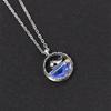 Whale Life has your 925 sterling silver necklace for women's light luxury simple ins niche design magic moonstone whale collarbone chain