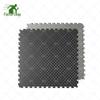 Hanyue Interlocking EVA Foam Sports Mat