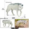 Children's Cognitive Solid Wolf Ornament - Realistic Tilting Head White & Gray Wolf Toy Model