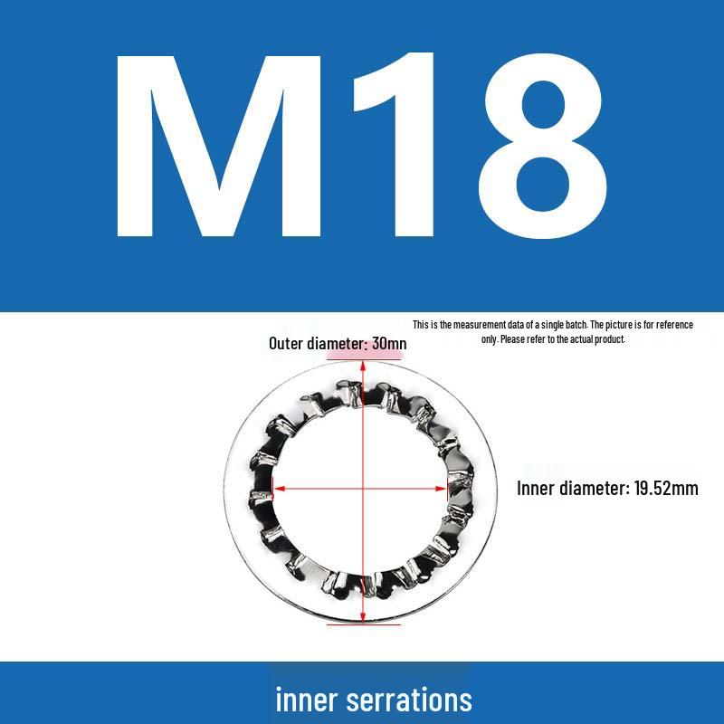 304 Stainless Steel Serrated Lock Washer with Anti-slip Teeth.