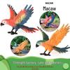 Wild Bird Model: Macaw and Rhinoceros Toy with Wings Spread