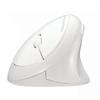 SANWA GMAERGW17W Wireless Mouse