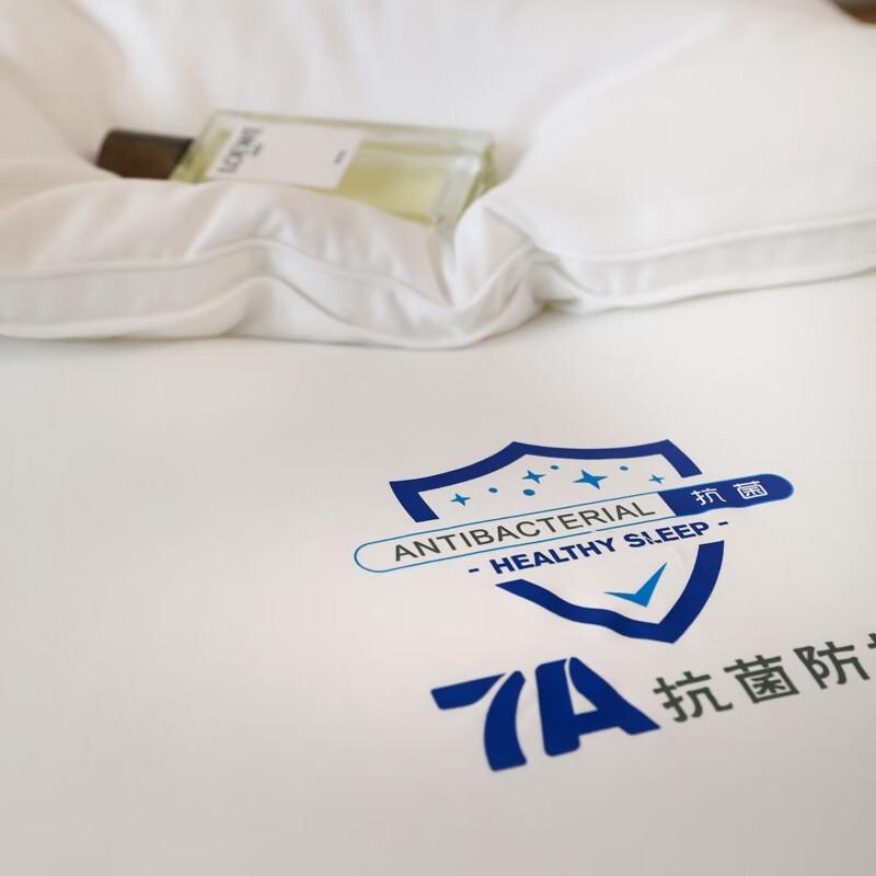 Southern Living 7A Antibacterial Winter Duvet