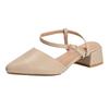Autumn New Single Shoes Women's Fashion French High Heels Women's Thick Heels High-end Bag Head Temperament Women's Shoes 2025