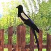 - Simulation Birds, Feathered Bird Models, Crafts, Figurines, Statues, Garden Decorations, for