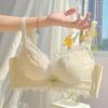 Women's Spring and Summer Thin Lace Gathers No Steel Ring Adjusting Pair of Breast Anti Droop Underwear