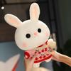 Weiches Kaninchen Lalafanfan Kaninchen Café Mädchen Plüschtier Niedlich 30cm Kawaii Lalafanfan Puppe mit Brille mit Kleidung Spielzeug Geschenk