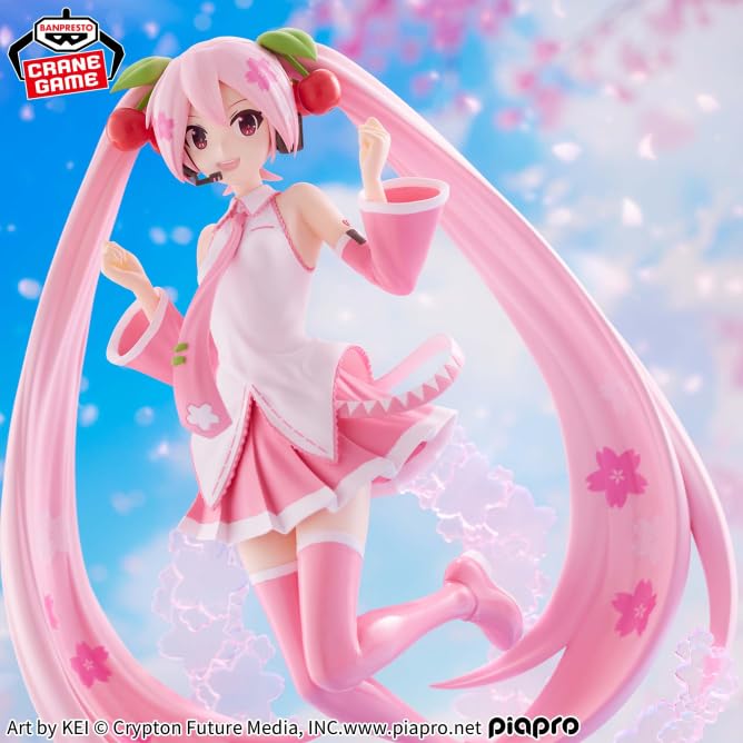 Sakura Miku BANPRESTO EVOLVE Sakura Miku Figure