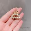 2024 Exquisite Small Claw Hair Clip for Women - Half Up, Side Bang, Fringe Styling