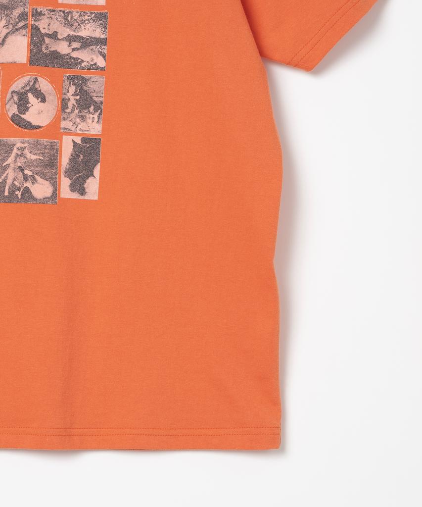 MILLO ARCHIVE Custom Frame Cat T-Shirt [Orange]