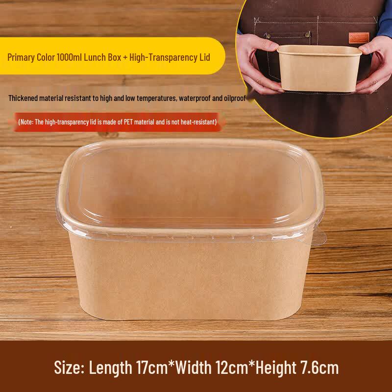Disposable Outdoor Picnic Bento Box